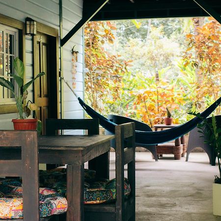 Casa De Mono Bocas Bed & Breakfast Big Creek Eksteriør bilde