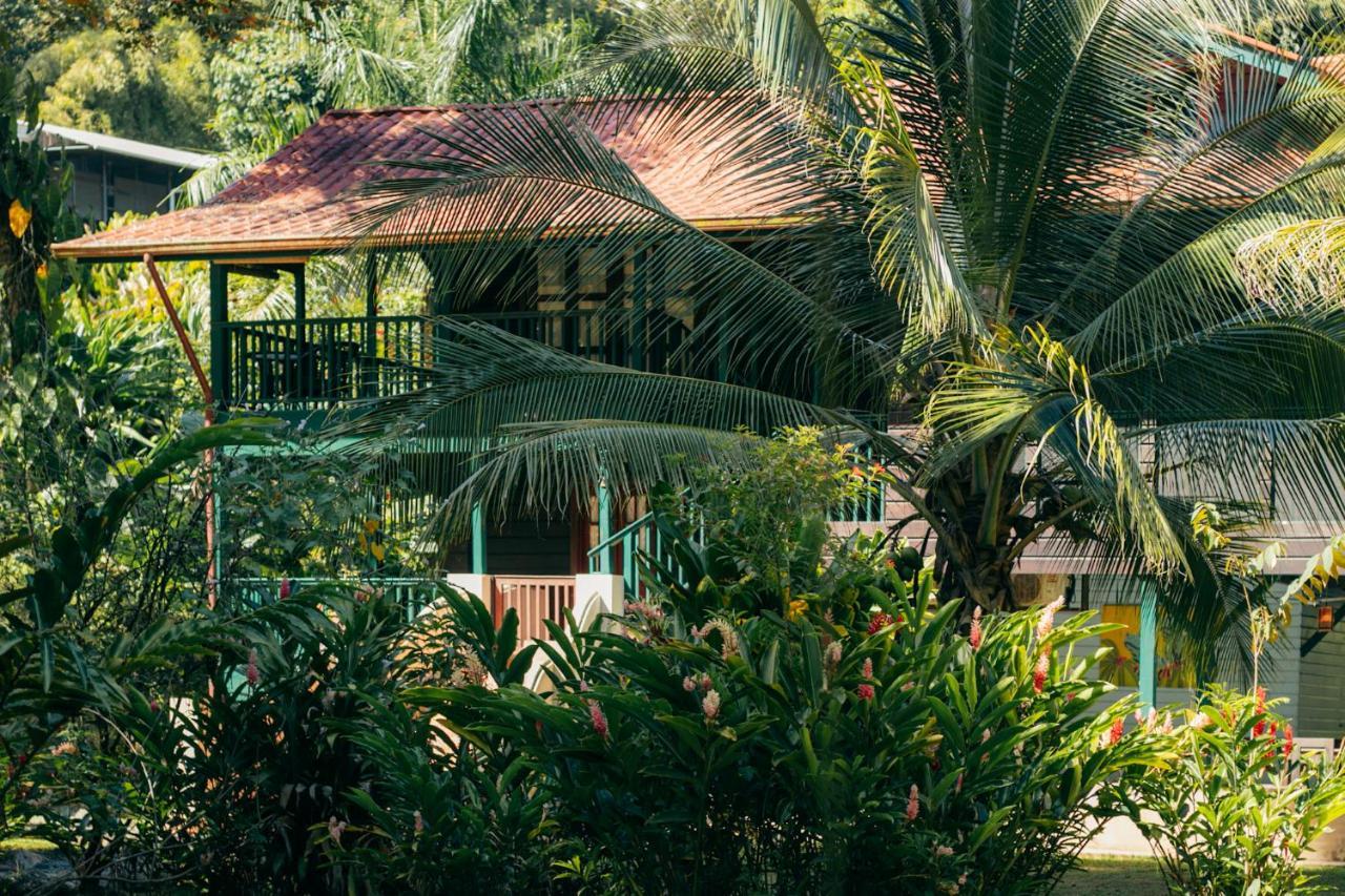 Casa De Mono Bocas Bed & Breakfast Big Creek Eksteriør bilde
