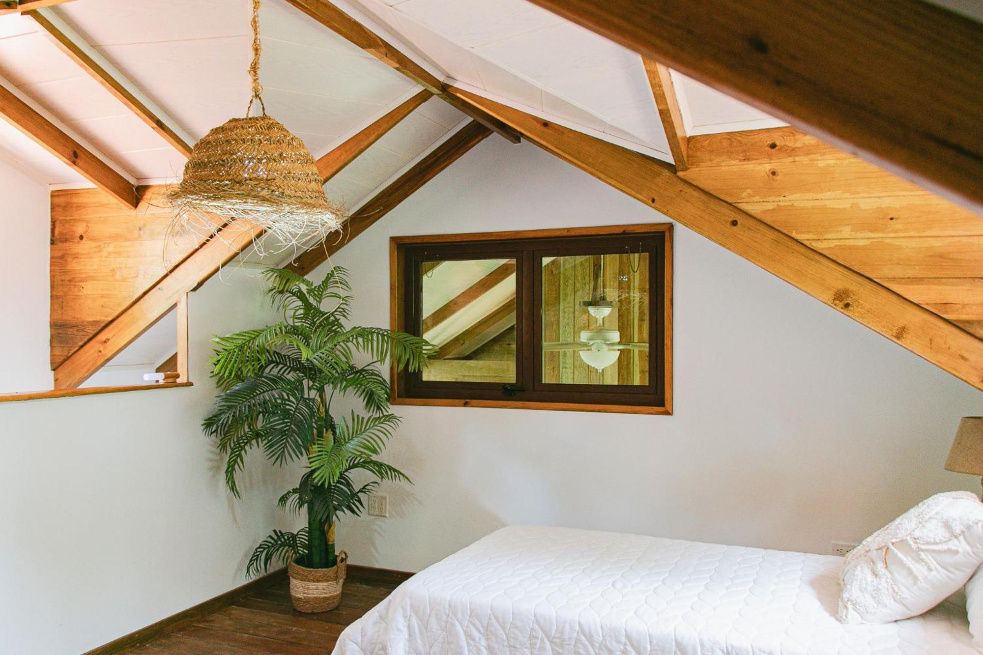 Casa De Mono Bocas Bed & Breakfast Big Creek Rom bilde