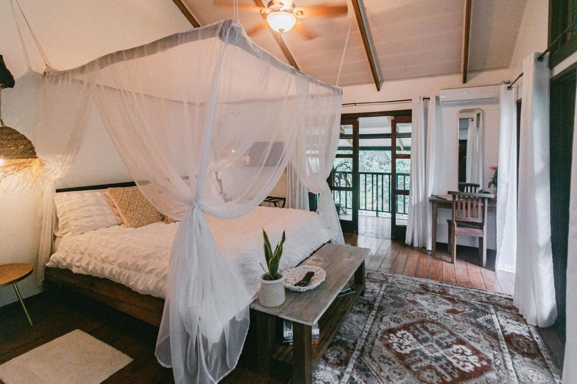 Casa De Mono Bocas Bed & Breakfast Big Creek Rom bilde
