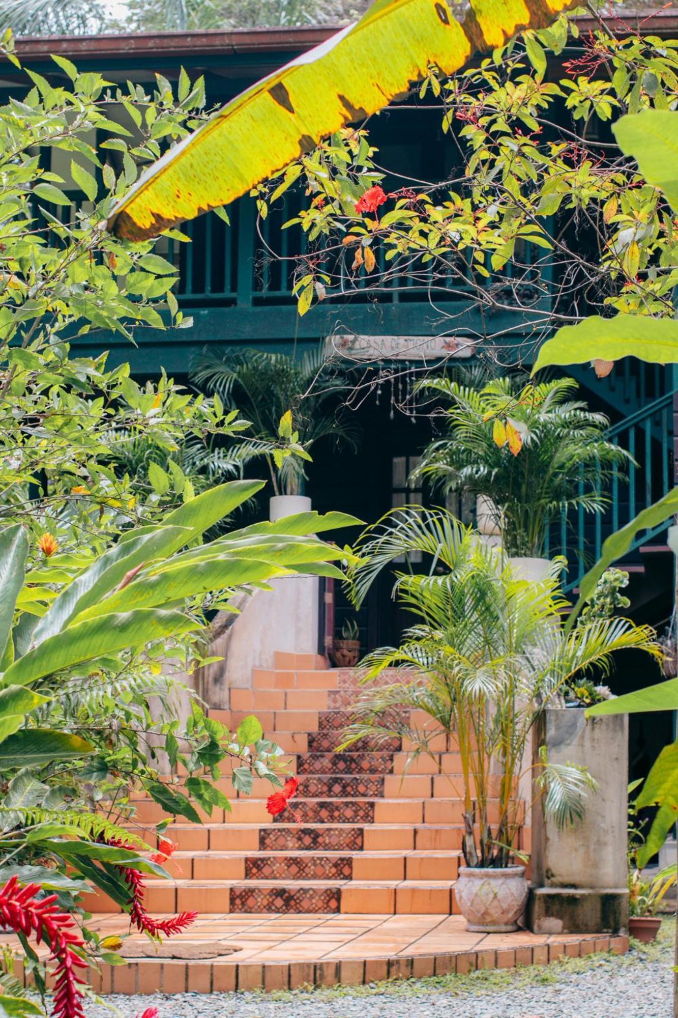 Casa De Mono Bocas Bed & Breakfast Big Creek Eksteriør bilde