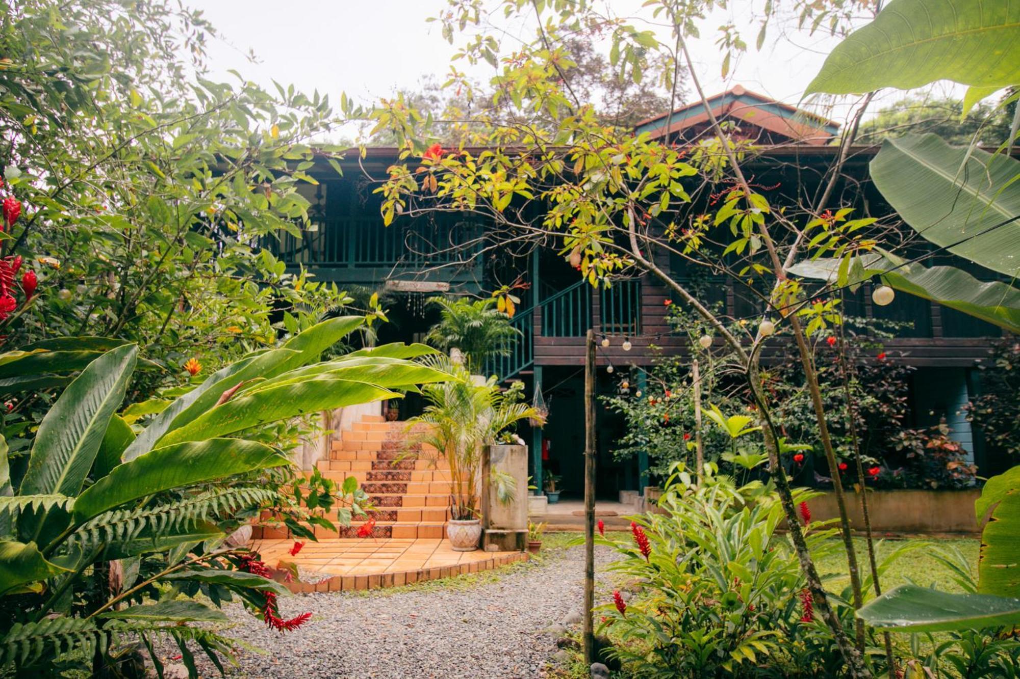 Casa De Mono Bocas Bed & Breakfast Big Creek Eksteriør bilde
