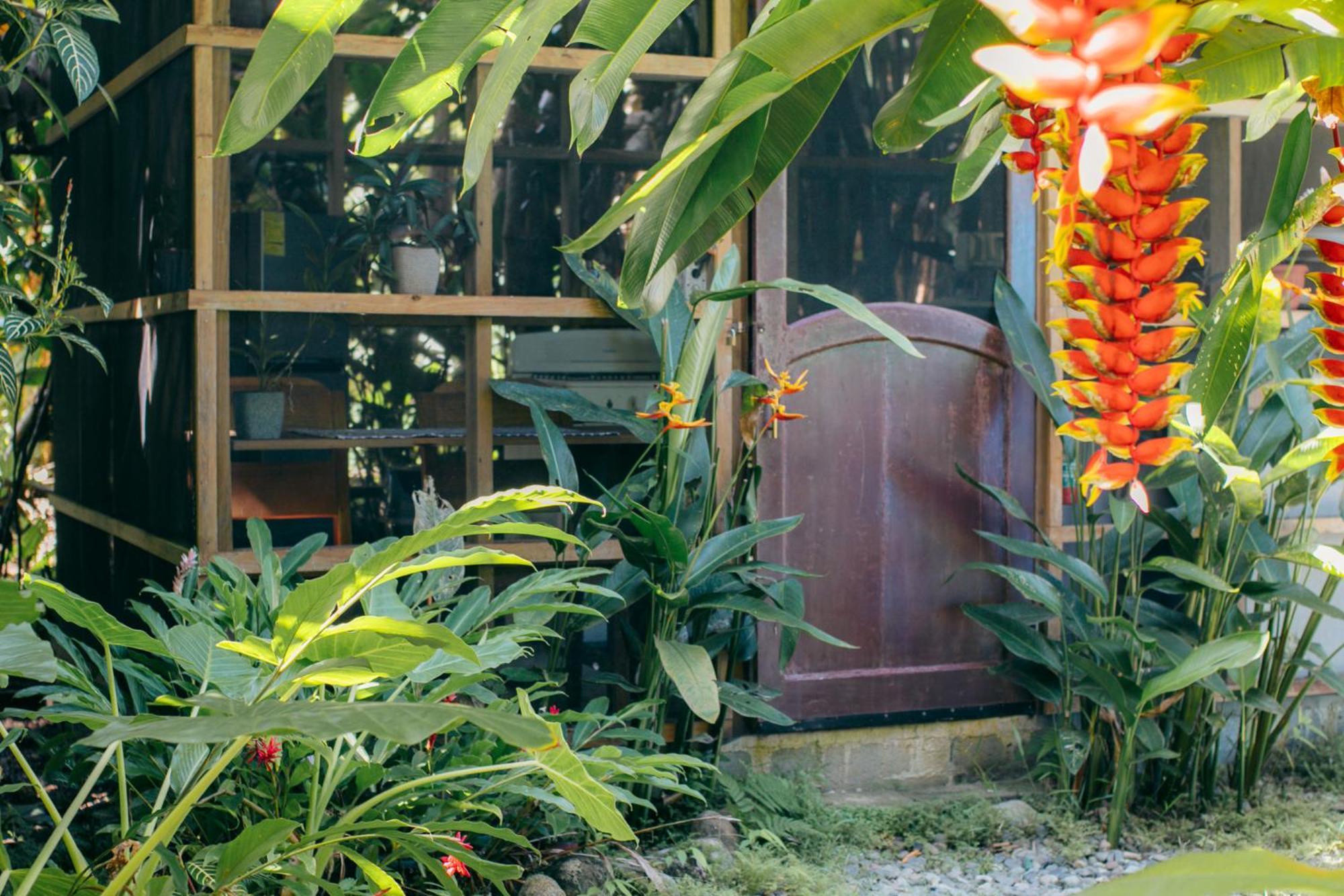 Casa De Mono Bocas Bed & Breakfast Big Creek Eksteriør bilde
